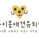 아이몽 애견 유치원 이미지