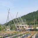 금봉산 농장 이미지