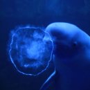 아쿠아플라넷 여수 이미지