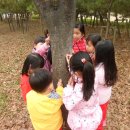 부광 유치원 이미지