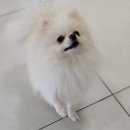 해랑동물병원 이미지