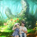 가상의 현실 이미지