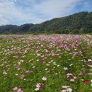 낙동가람 이미지