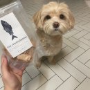 우프밀(woofmeal) 이미지