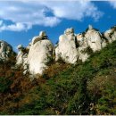 관-비-3-1 이미지