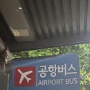 [ 일상 ] 도쿄 3박4일 여행 - 1일차