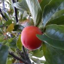 하늘땅민박 이미지