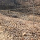 여주-0901 이미지