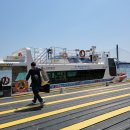 하단동1195 이미지