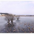 들성생태공원 이미지