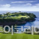 파인비치A 이미지