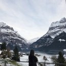 둔내신터미널화장실 | [스위스] 그린델발트 에어비앤비 뷰좋은 숙소 후기(위치, 가격, 만족도)