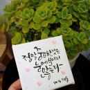 제일캔버스