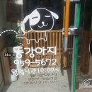 똥강아지 애견 이미지