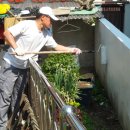 이웃사랑의 집 이미지