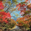 내장산국립공원화장실(생태공원) 이미지