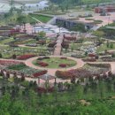 장성 꽃 화원 이미지