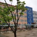 새샘초등학교 이미지