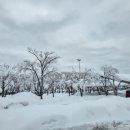 제순식당,놀부부대찌개 이미지