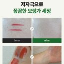 셀레스파