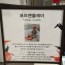 플레이디자인앤컬러 | 신세계강남 키즈팝업 추천｜퍼즈앤플레이 아기옷 실물 후기 + 구매혜택