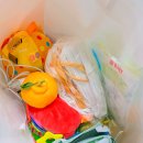 데이도노 | 주간 일상 | 설날 연휴 고양이 출산준비 현실과 명절 지출 후기