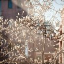 마음 힐링을 위한 수채화 이미지