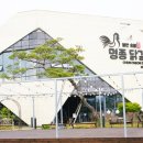 춘천명종닭갈비 이미지