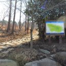 안심산 둘레길 이미지