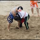 표선백사로 이미지