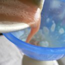 샴프네집 이미지