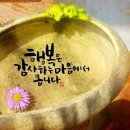 창원이화약국 이미지