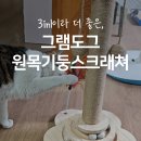 도그찹찹 | 고양이용품 l 뭘 좋아할지 몰라 다 준비한 고양이장난감, 그램도그 원목기둥 스크래쳐
