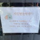 서프팩토리 이미지