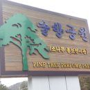 솔향공원 소나무전시관 네이버블로그