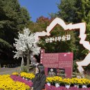 25년11월17일(월) 천안 독립기념관 단풍나무숲길 걷기 이미지