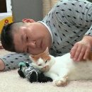 집사의하루 강남점 이미지
