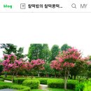 126-1 이미지