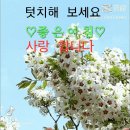 4월9일 목요일 출석부 이미지