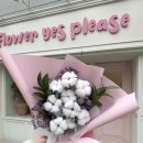 플라워예스플리즈