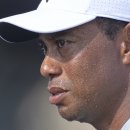 본 골프 이미지