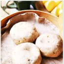 호두구름이네 이미지