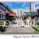 속초갯배 | 속초 아바이마을 여행 후기, 갯배 체험과 아바이순대 맛집, 가족·연인과 가볼 만한 곳