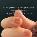 더무드포유