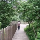 다목초등학교 이미지