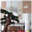 백암여자 이미지