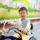 어린이교통랜드 이미지