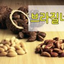 에스지상사
