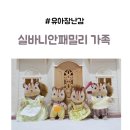 유아장난감 실바니안 패밀리 호두다람쥐가족 3세장난감 역할놀이
