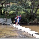 상월초등학교 이미지